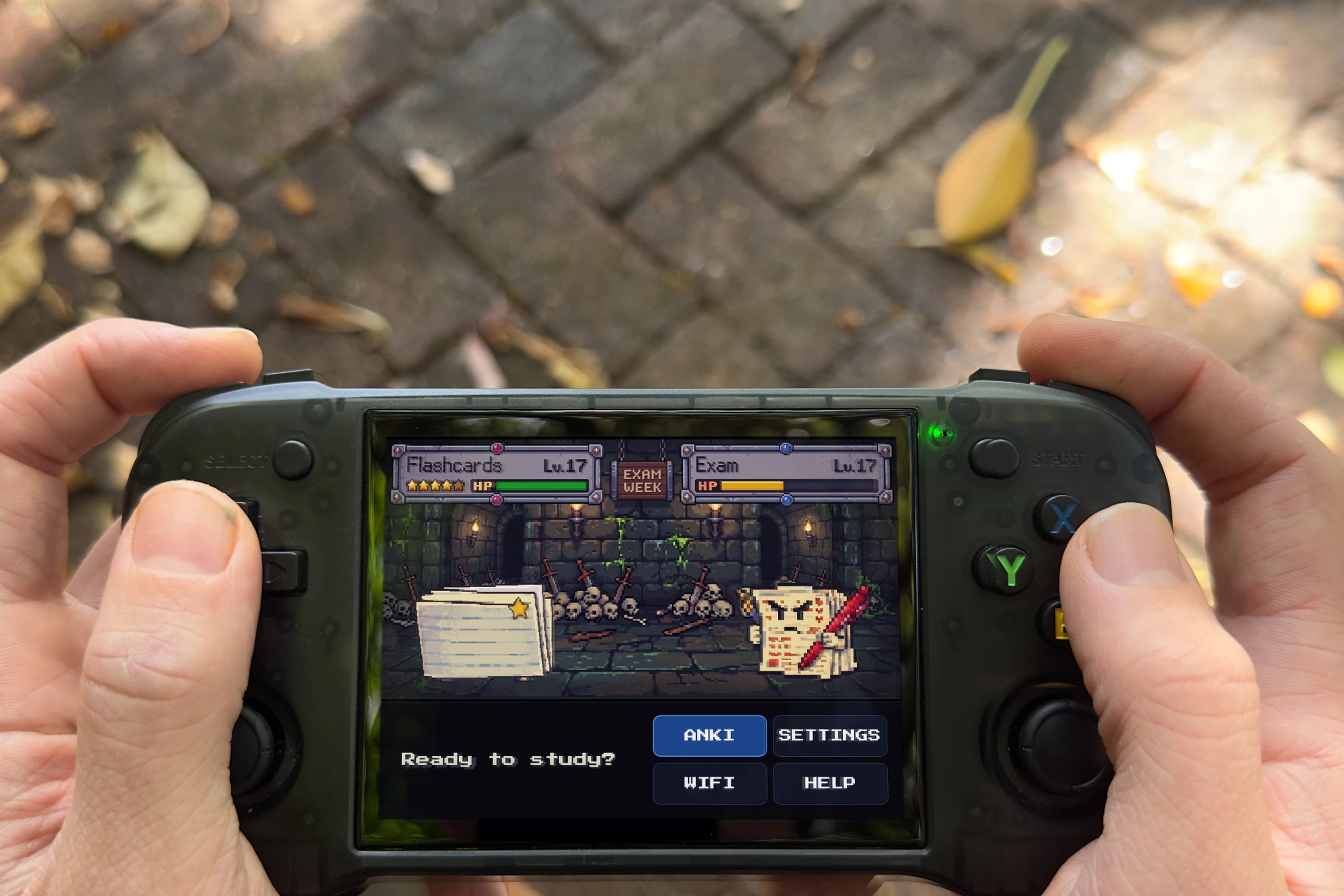 Ankiboy held outdoors over a brick path, on its Ready to study? start screen